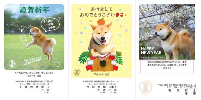 2018年柴犬まるデザイン年賀状印刷