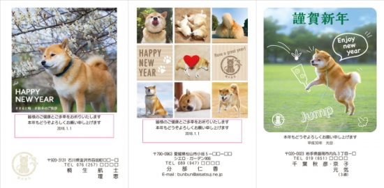 ネット限定柴犬まる2018年（H30年）年賀状デザイン